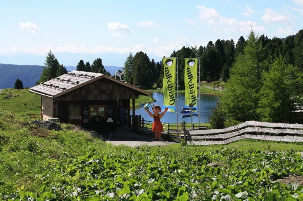 Vakantiehuis Almhaus Heidi Nockberge *